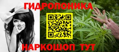 ешки Краснодар