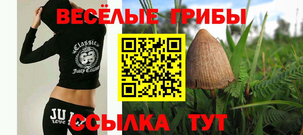 Псилоцибиновые грибы прущие грибы Балтийск